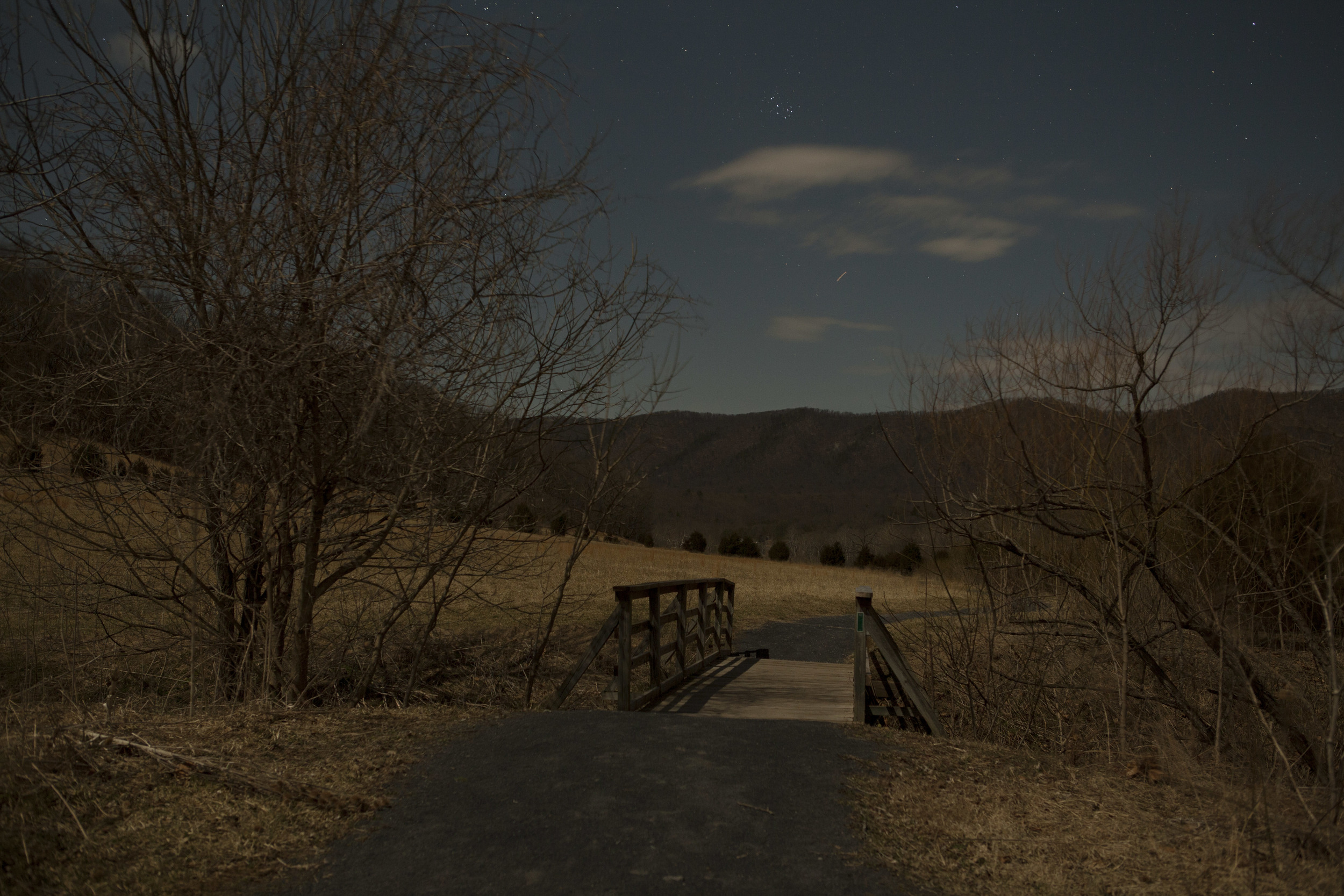 The Bridge at Night.jpg