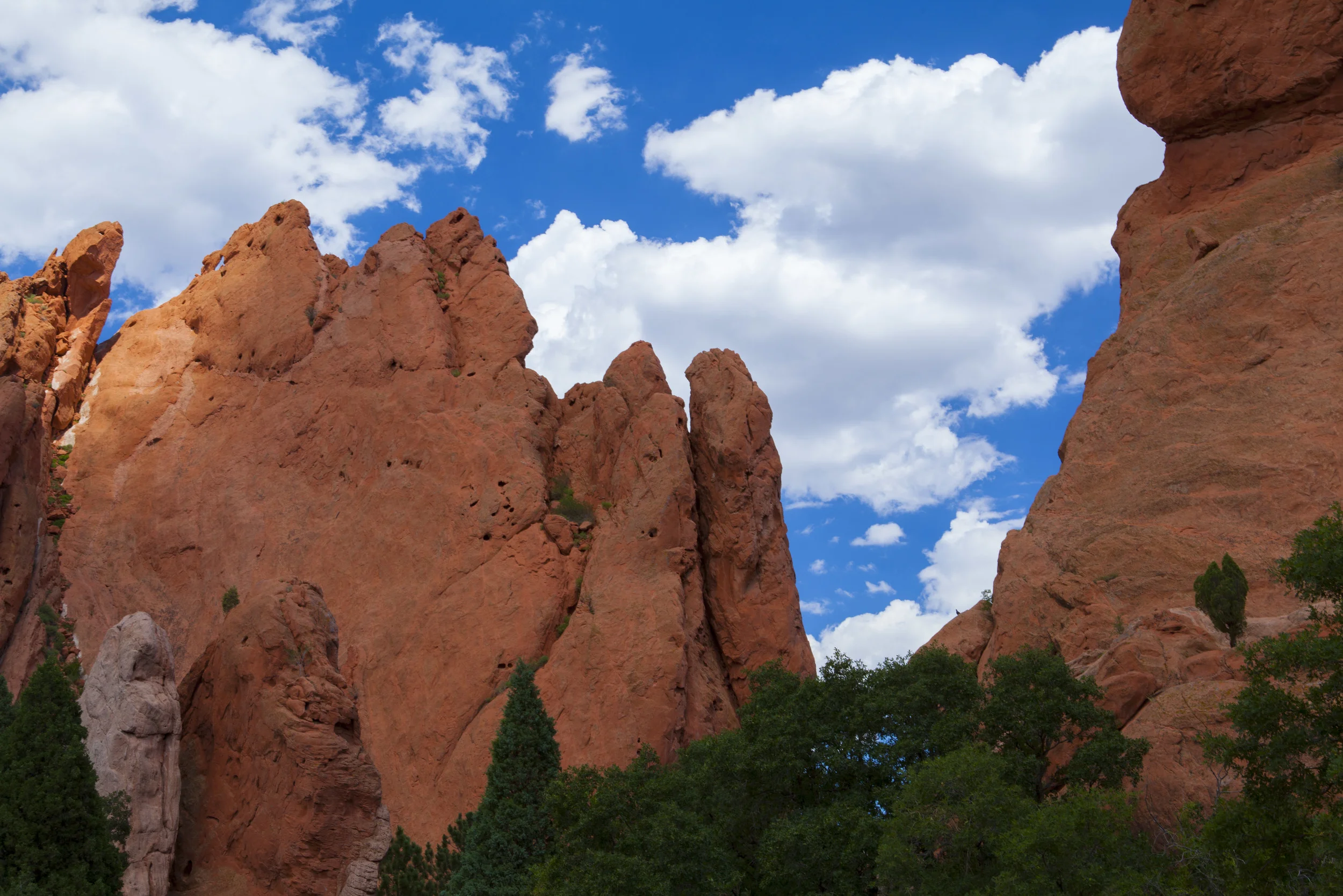 Garden of the Gods4.jpg