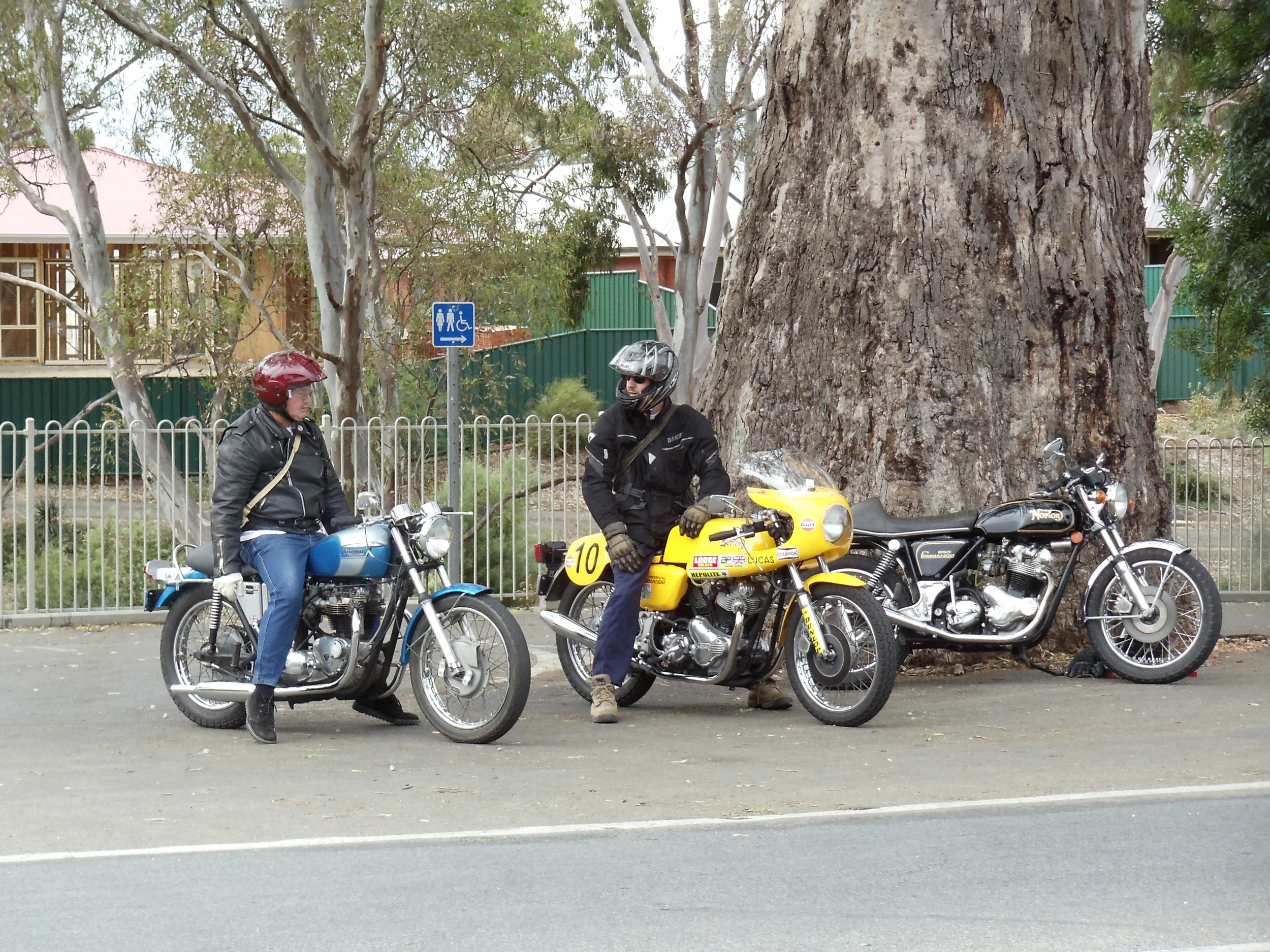 DSC00124.JPG