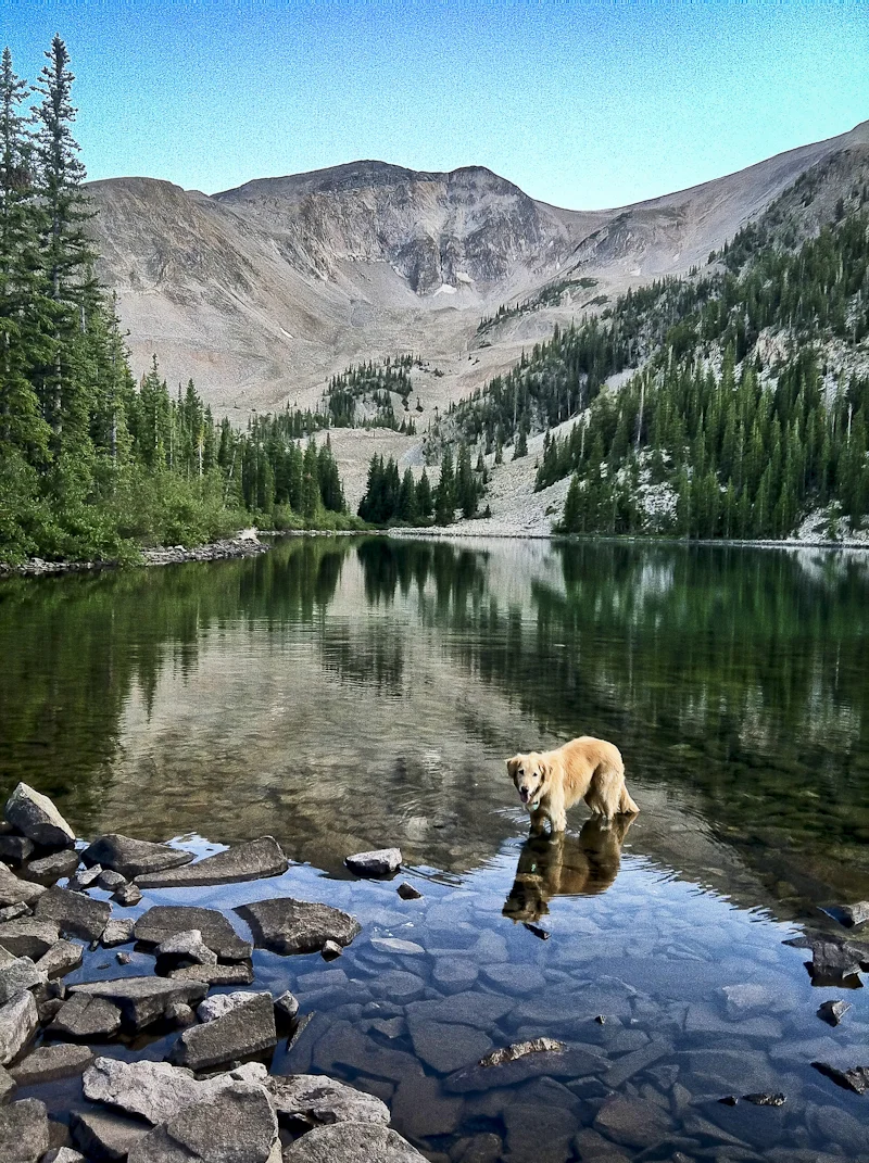 Redefining the definition of the after work trail run, for me at least. Thomas Lakes, Mt. Sopris, simply amazing! R-dog and I will definitely be sore tomorrow.