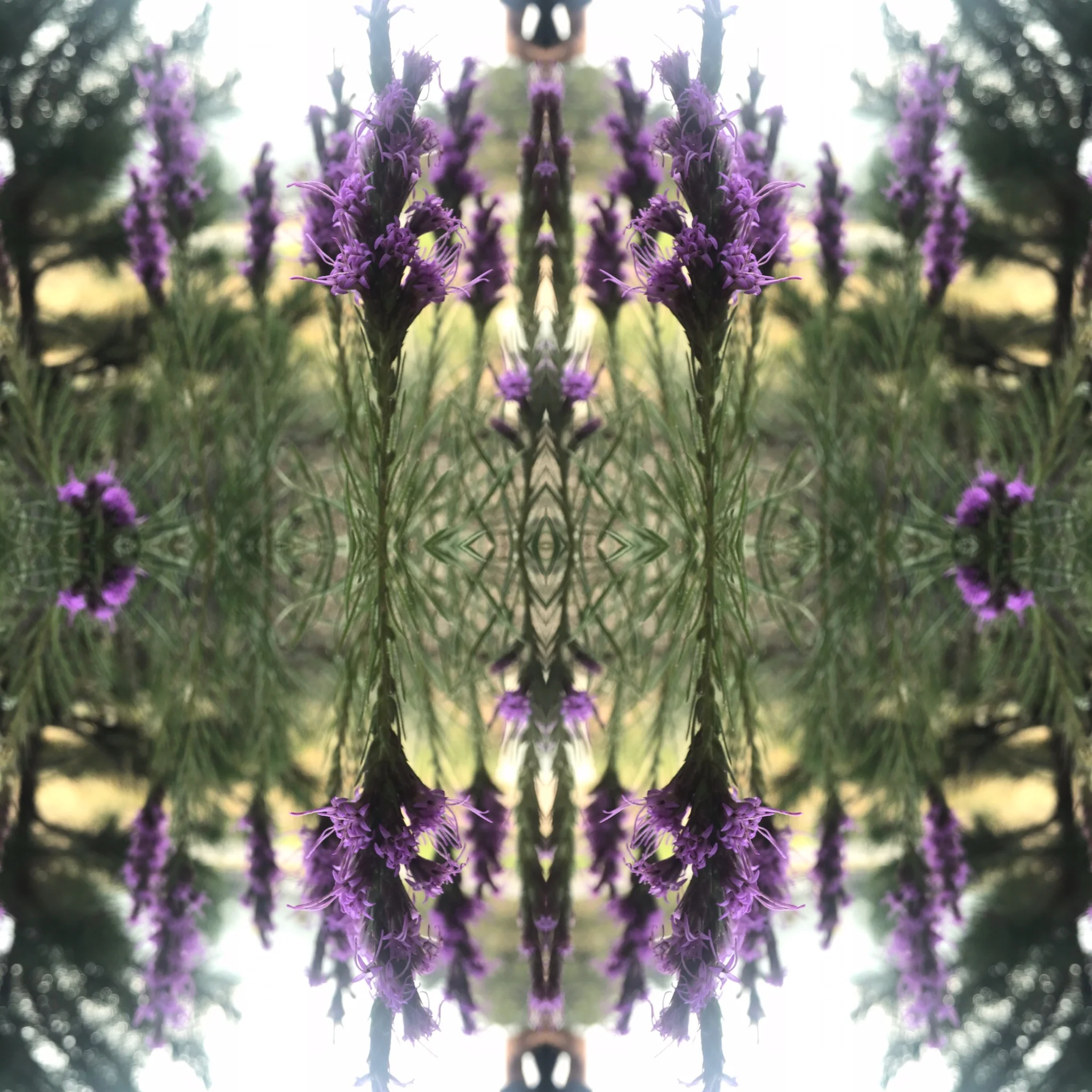 99DBB805-6CE2-408A-B2B5-E1E4FAE04C39