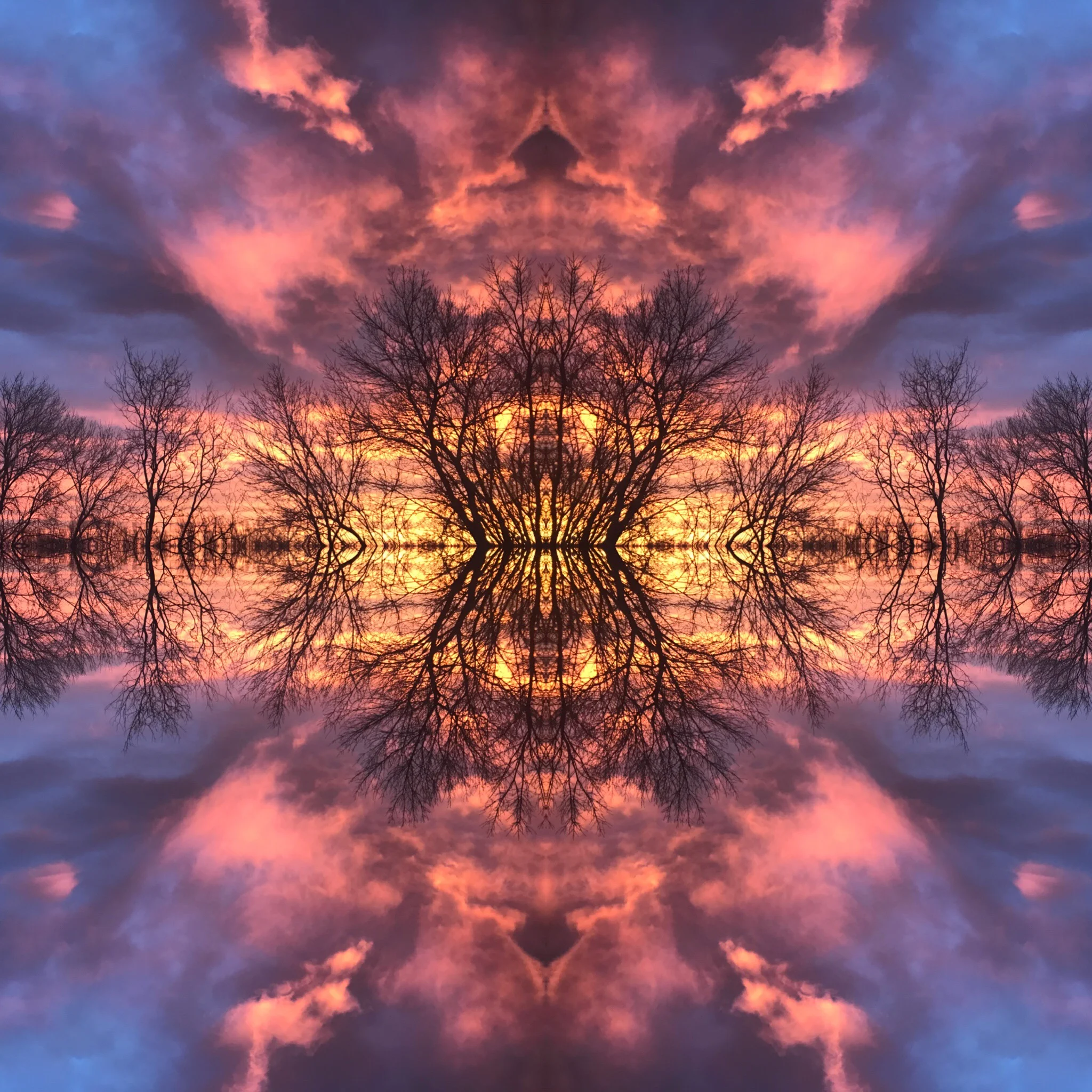 CF00D622-70B9-40B1-A172-5AED645A9020