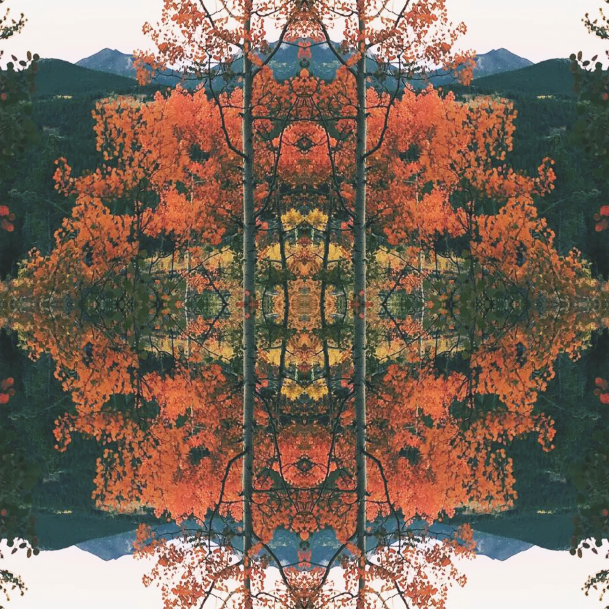 BF65AA78-2F6C-48A5-98D3-386BB242F831