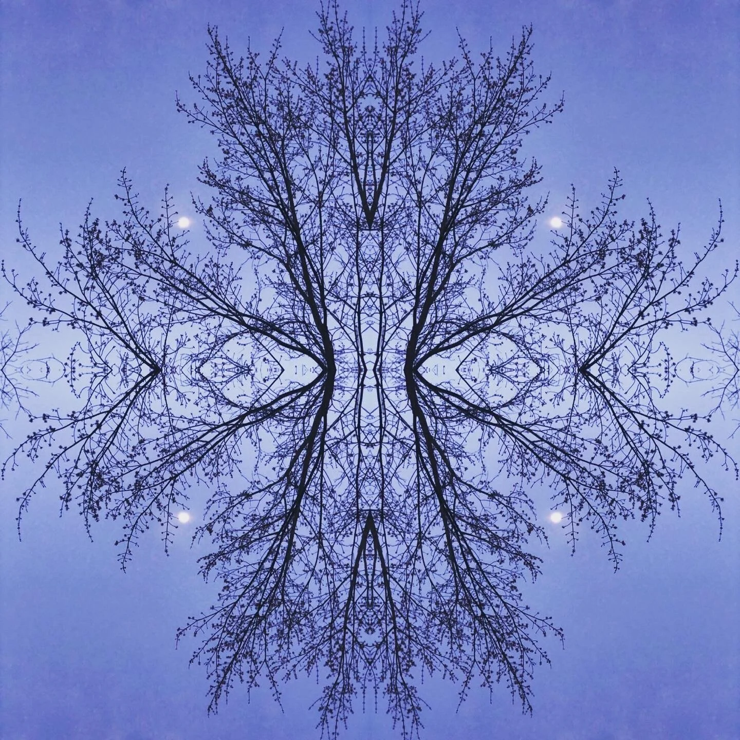 45FDA5BA-2C07-48C8-B0F7-4B8ED297458F