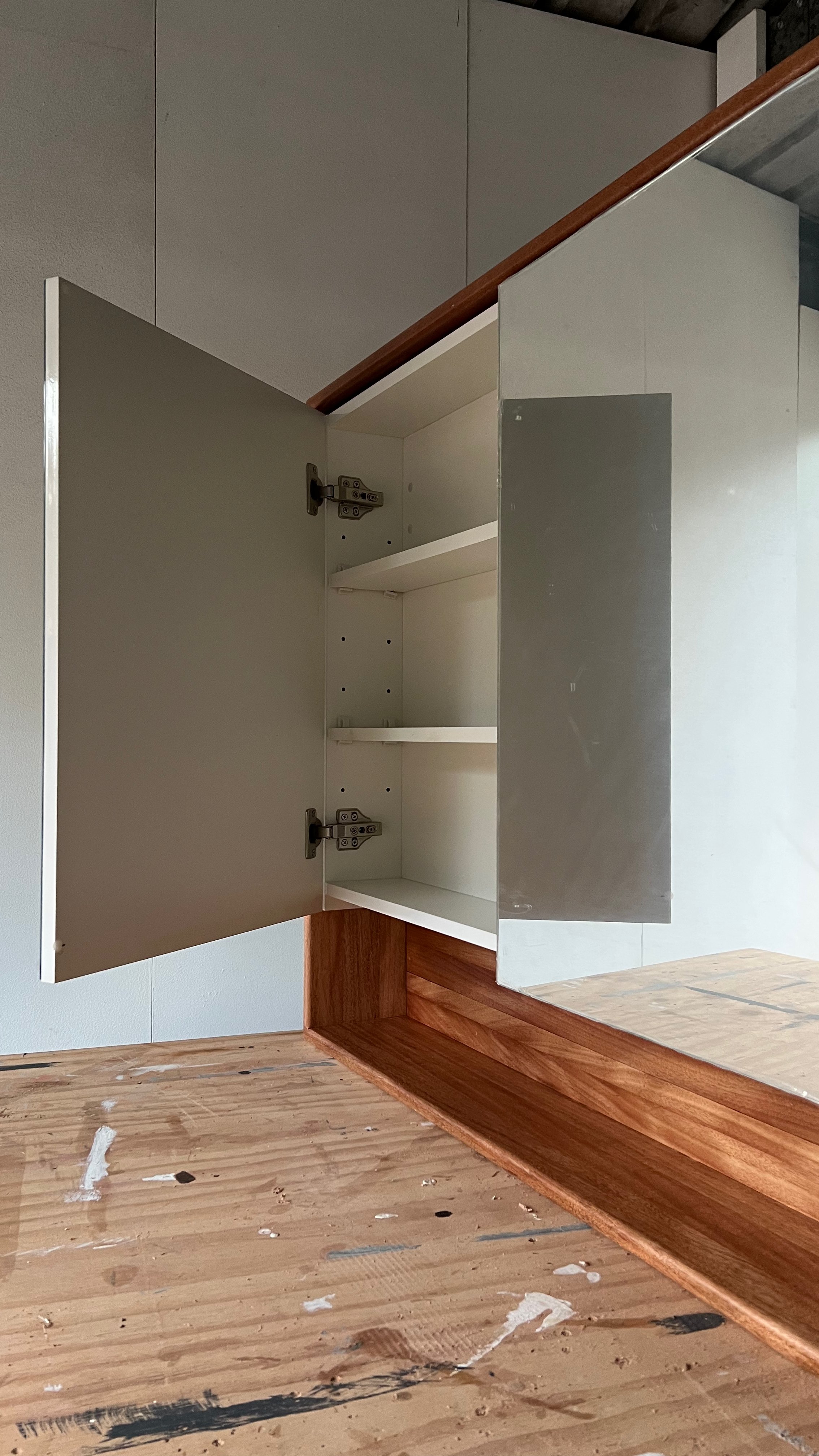 9 MIRRORED CABINET cladding.jpeg