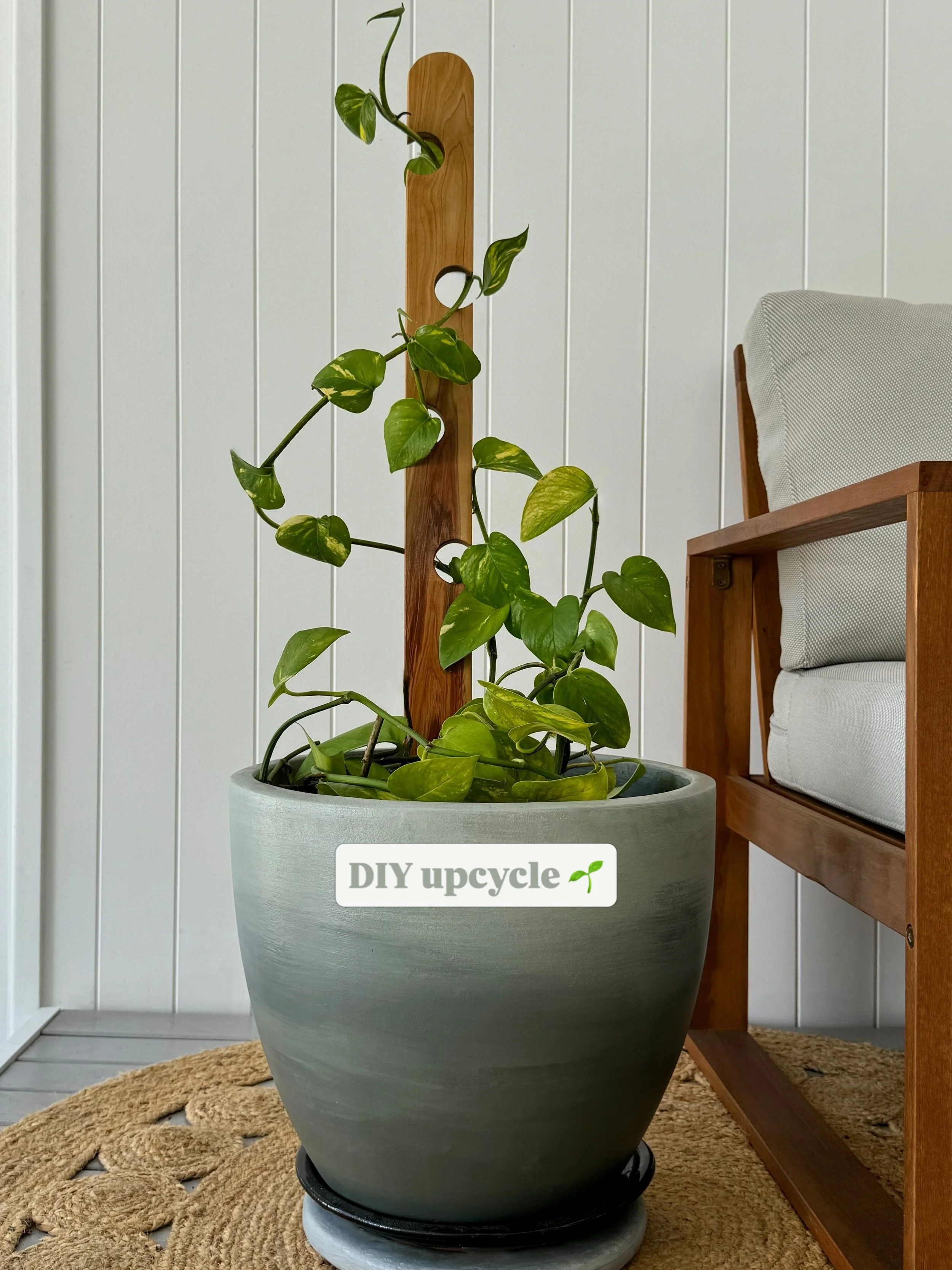 Another fence picket project! This time for a climbing plant stake. To DIY, simply drill the holes, seal all over, then rescue your plant.⁠
👉🏼 Click through my bio for the how-to video and instructions.⁠
⁠
#howtoDIY #fencepicket #DIYtrellis