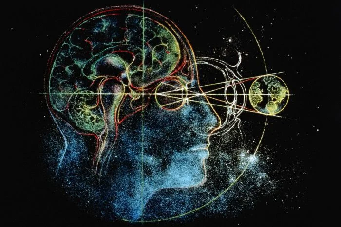 Image : David Eagleman believes the brain functions like a 'neural parliament'. (Getty Images)