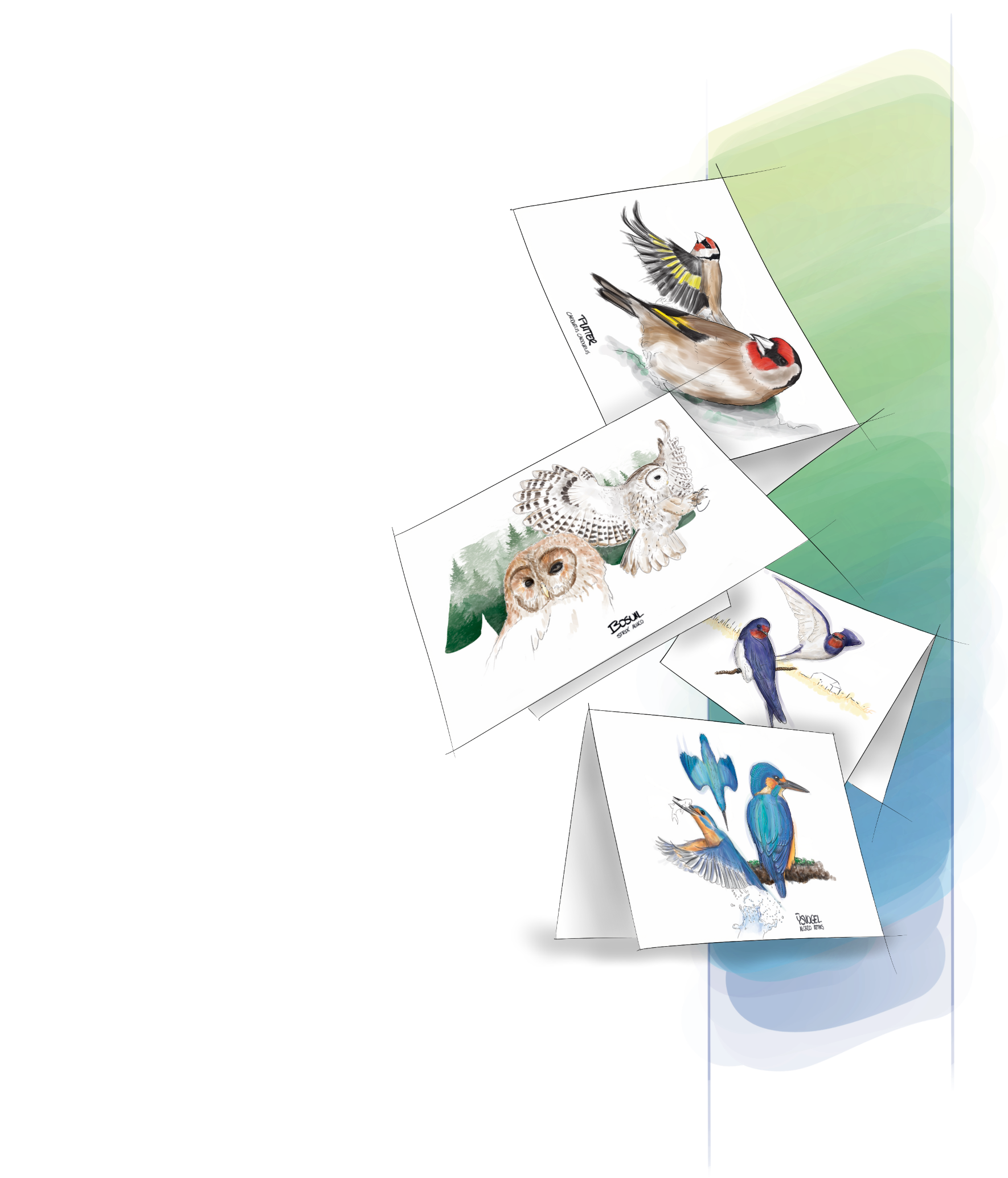Untitled_Artwork 26.png