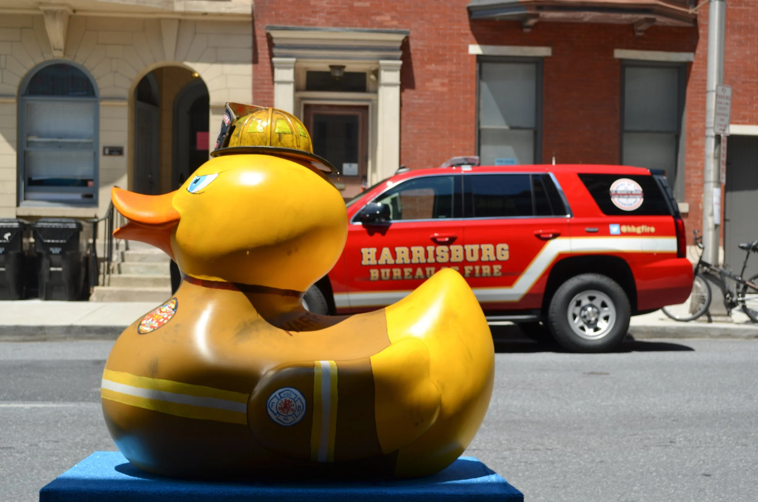 Copy of DucksDowntown-21.jpg