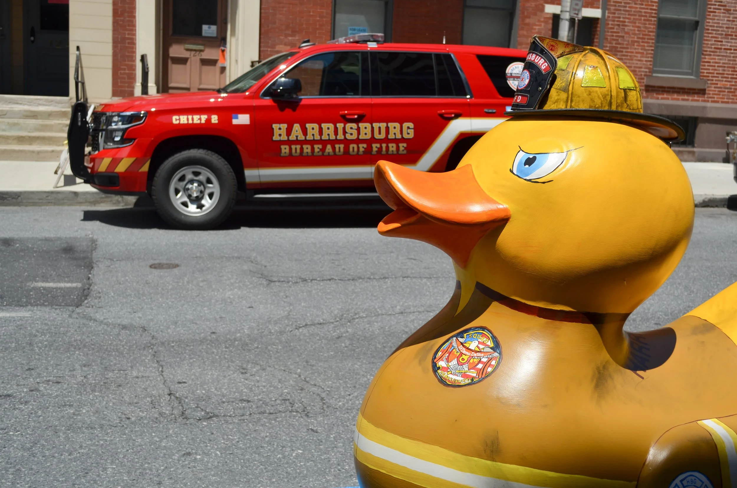 Copy of DucksDowntown-22.jpg