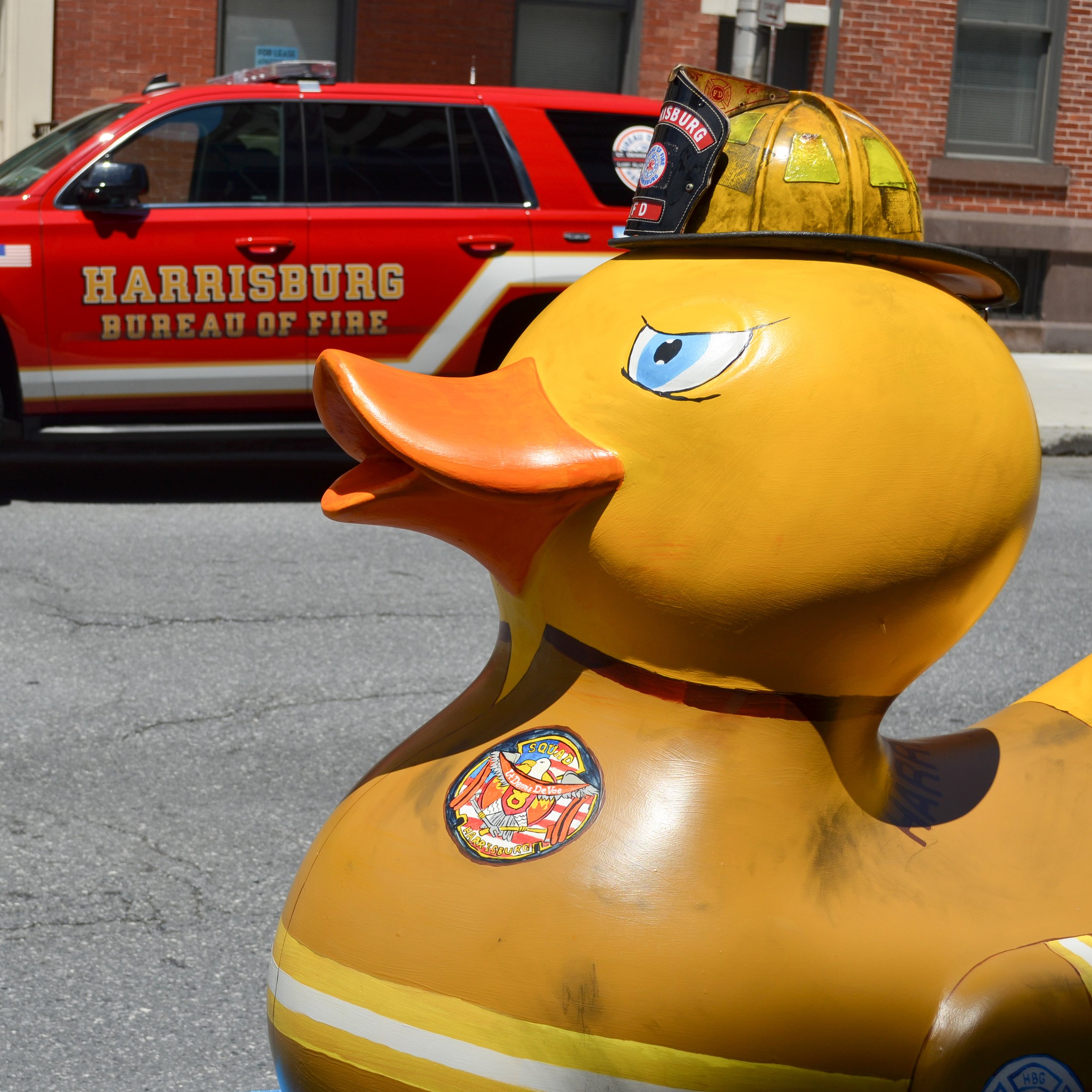 Fire Duck