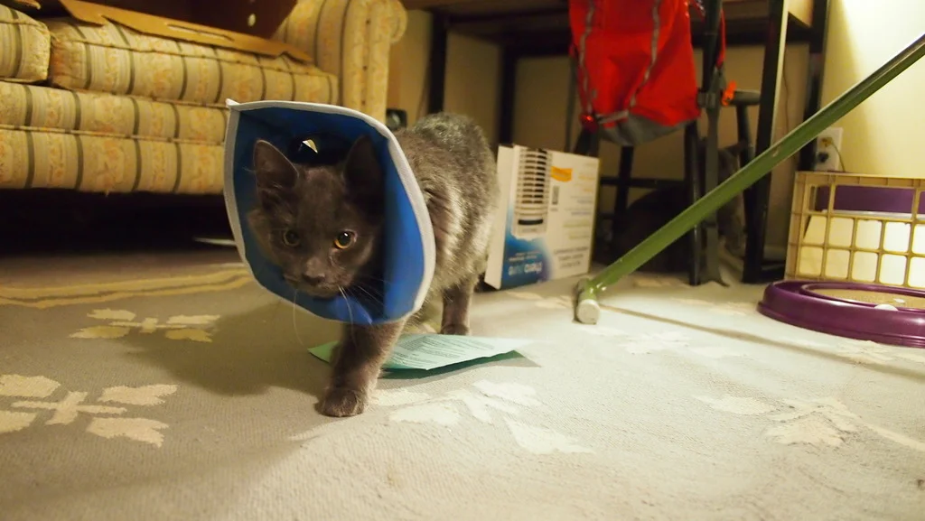 03-PB254817 copy.jpg