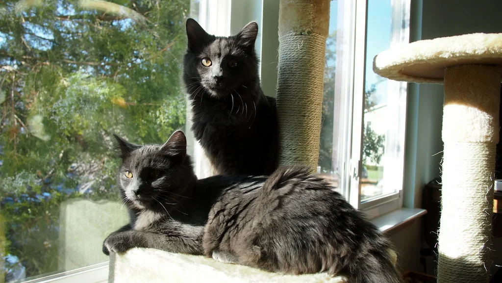 05-PB304890 copy.jpg