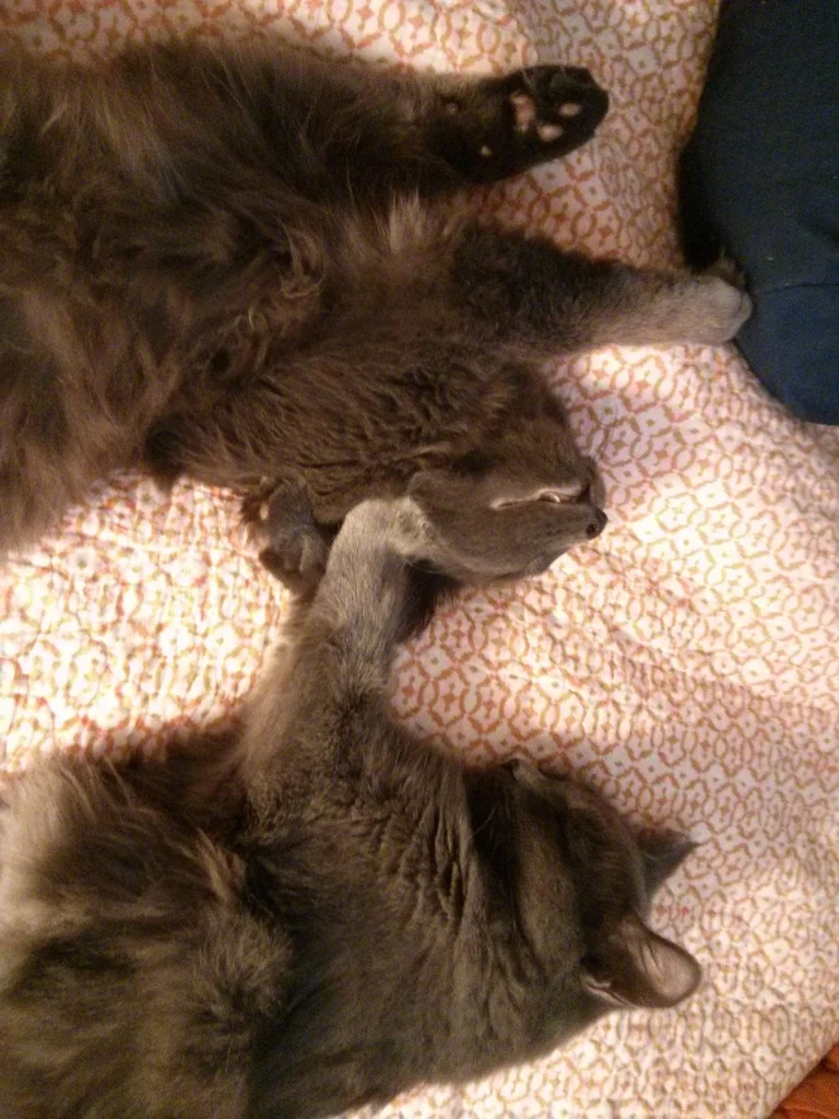 13-IMG_20141213_163628 copy.jpg