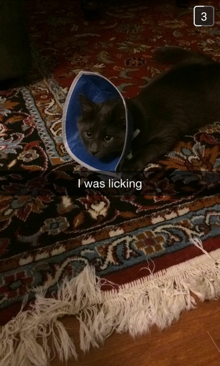 Screenshot_2014-11-24-20-16-28 copy.png