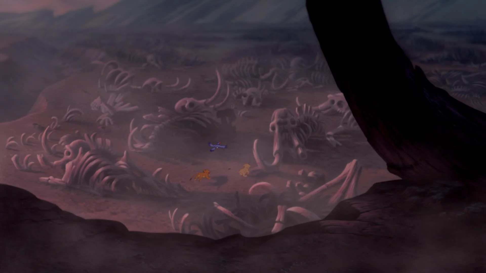 Elephant Graveyard 2.jpg
