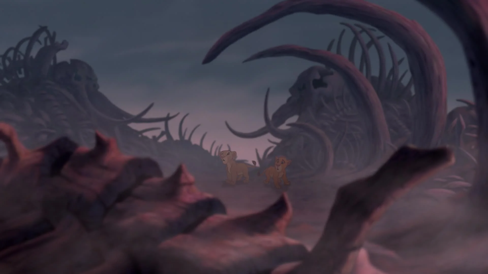 Elephant Graveyard 3.jpg