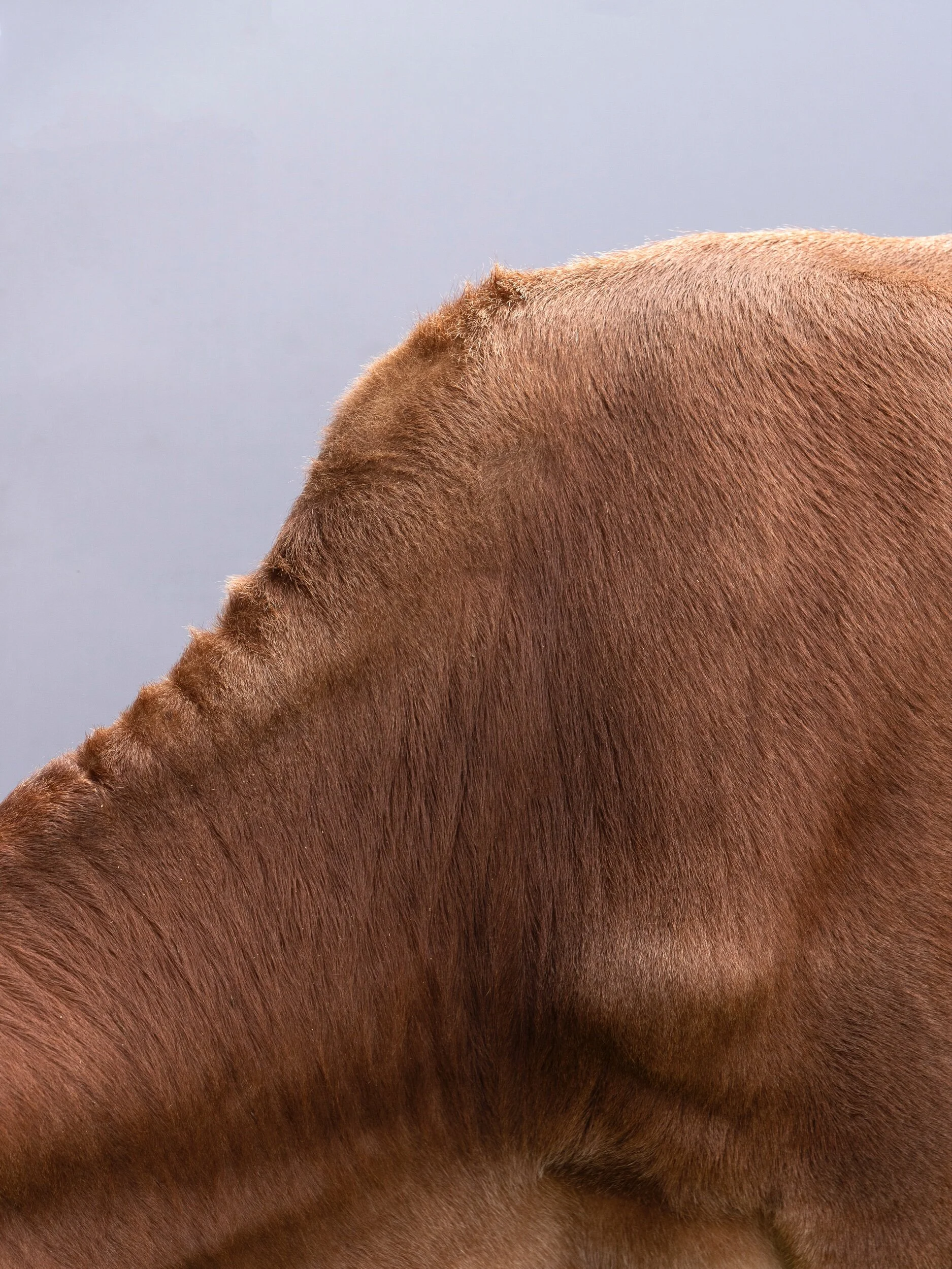 1FAD4C73-379A-4B07-8CD1-1CA45904701C