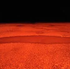 Forest Seawright.jpeg