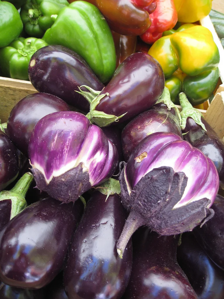 5 Ways To Make Food Fun - How to Give Your Child a Healthy Diet