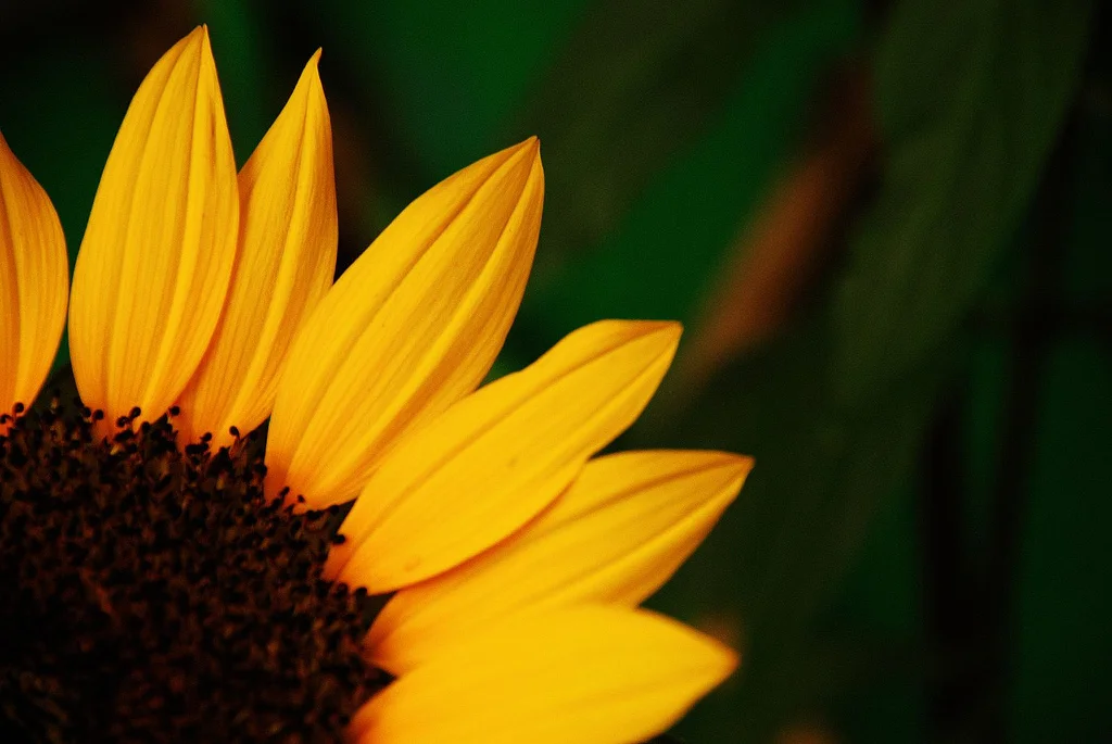 Spring is in the air!