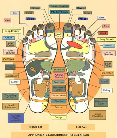 REFLEXOLOGY what it is, what it can do & how to do it yourself!