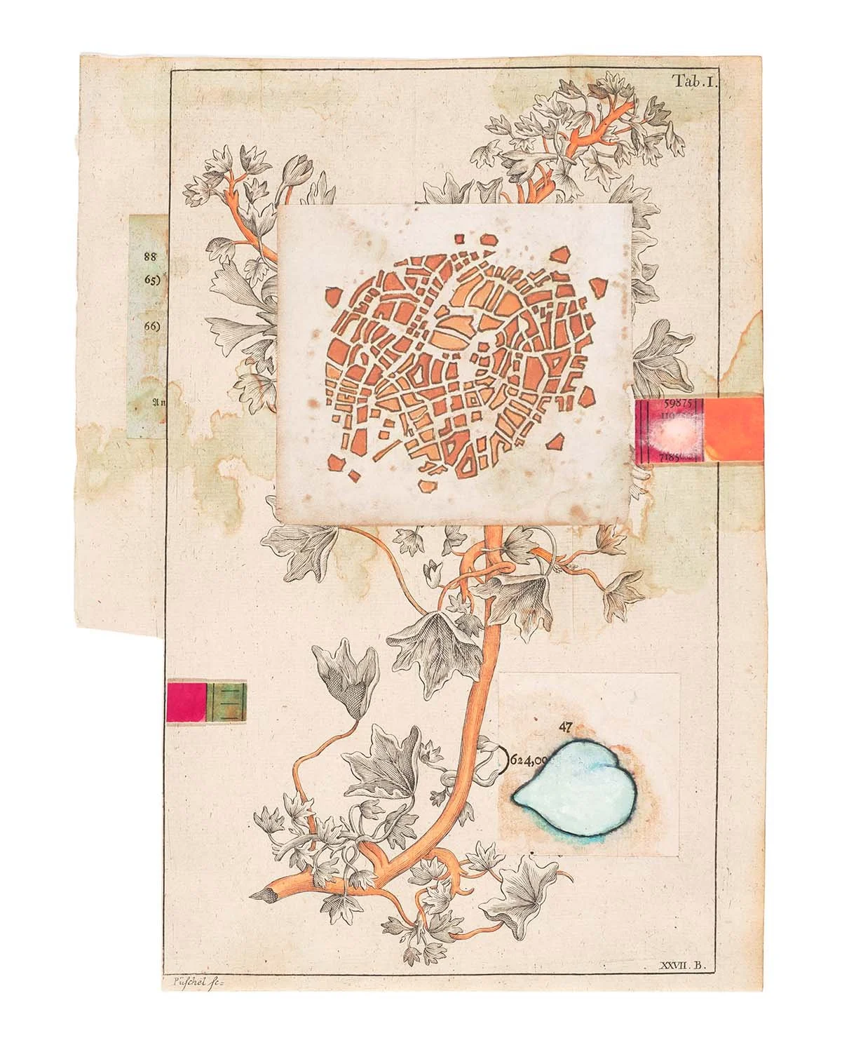   aster  2026, ink, watercolor,  collage on antiquarian  book fold-out paper,  8.5 x 11.5” 