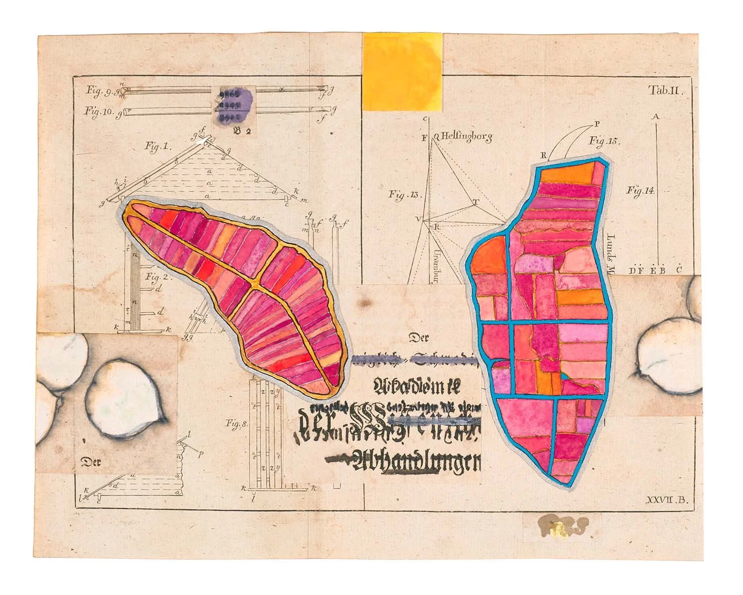   reclamation  2026, ink, watercolor,  collage on antiquarian  book fold-out paper,  9.5 x 7.5” 