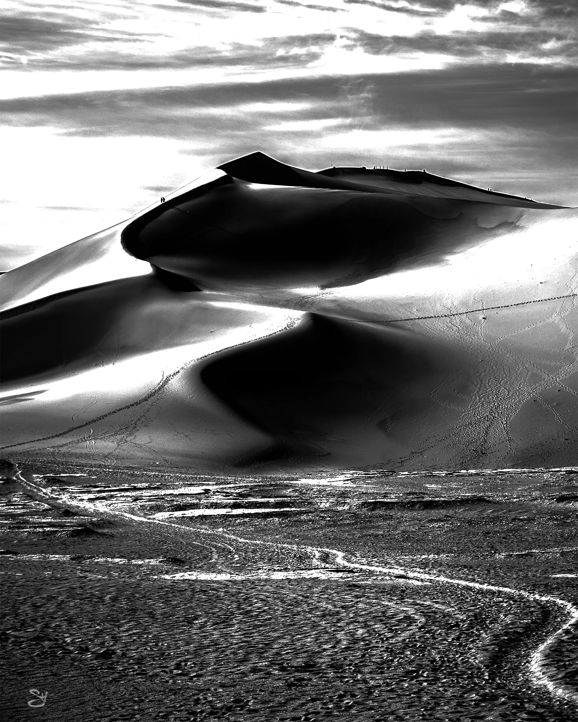 GOBI_DUNES_B&W_8x10.jpg