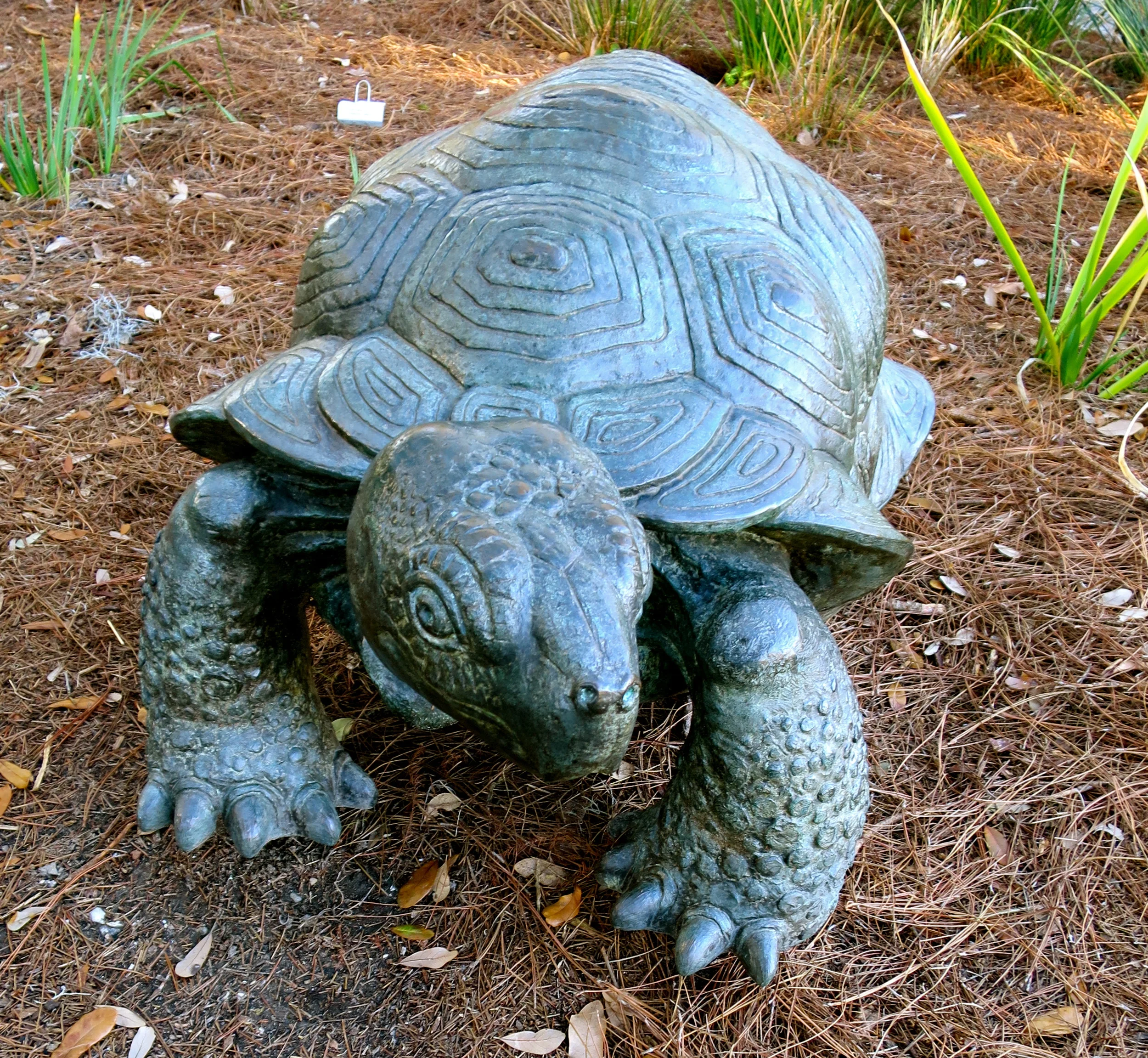 Just slow down for a minute and relax!