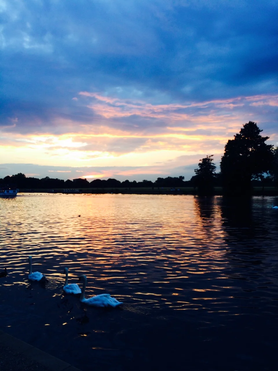 Watching the sun go down over the Thames as we return from the Windsor Racecourse by boat.