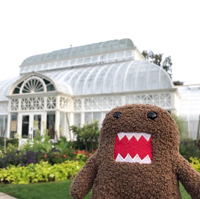 Domo in the Dawn with Flowers