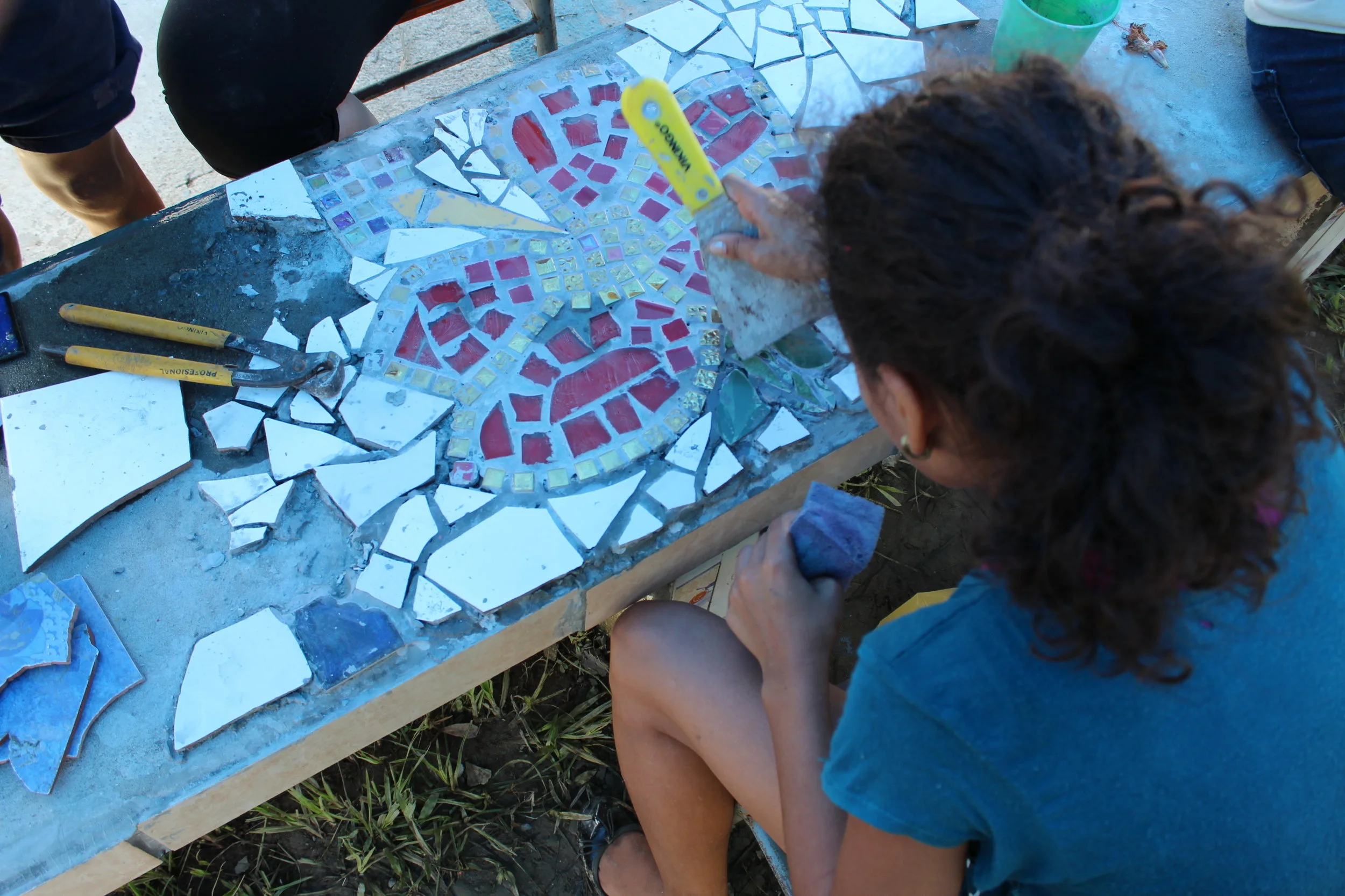 38. mosaicking.jpg