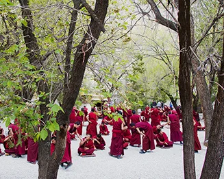 tibet_t.jpg
