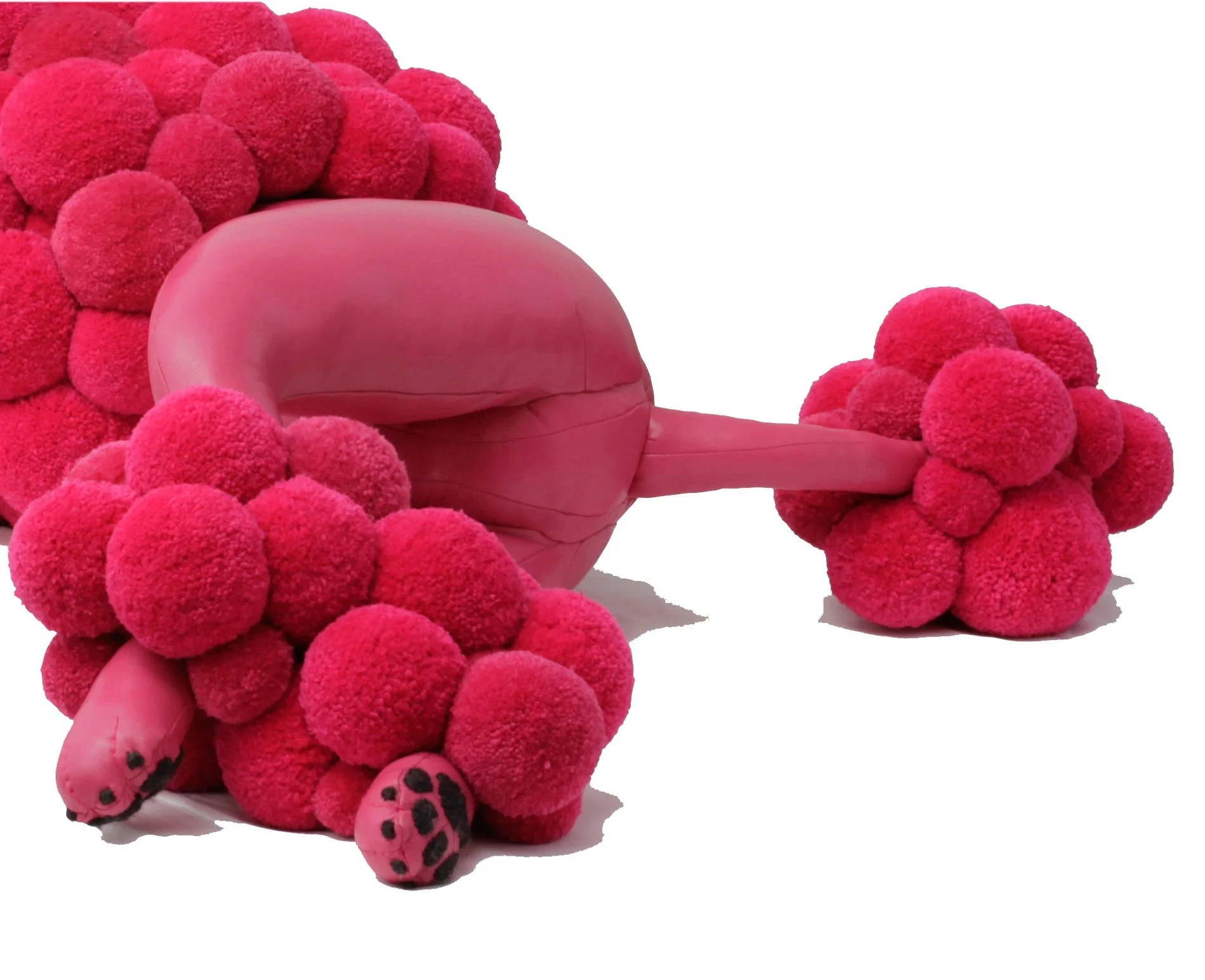  Pompon Poodle pink  detail