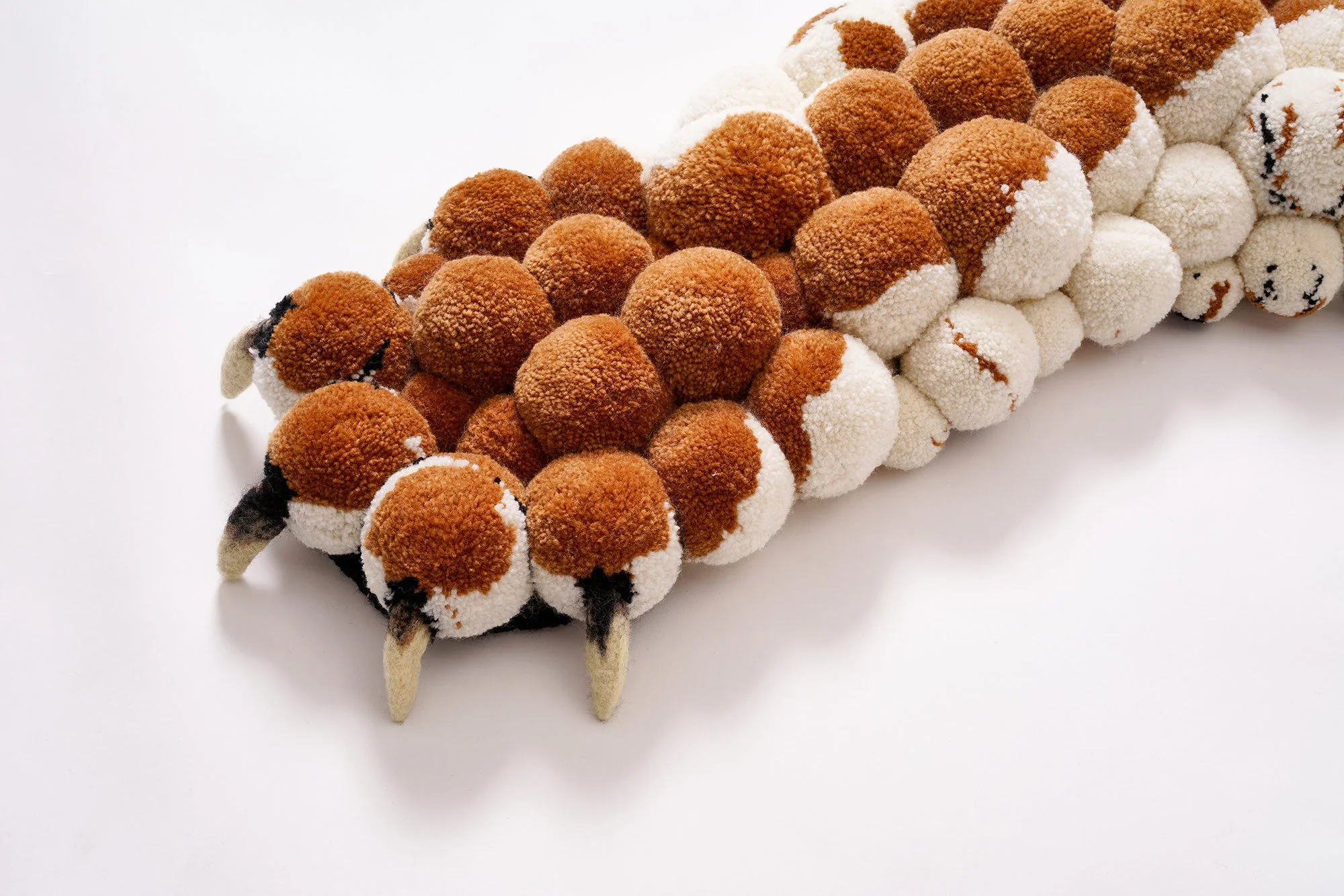 Tiger-paw detail