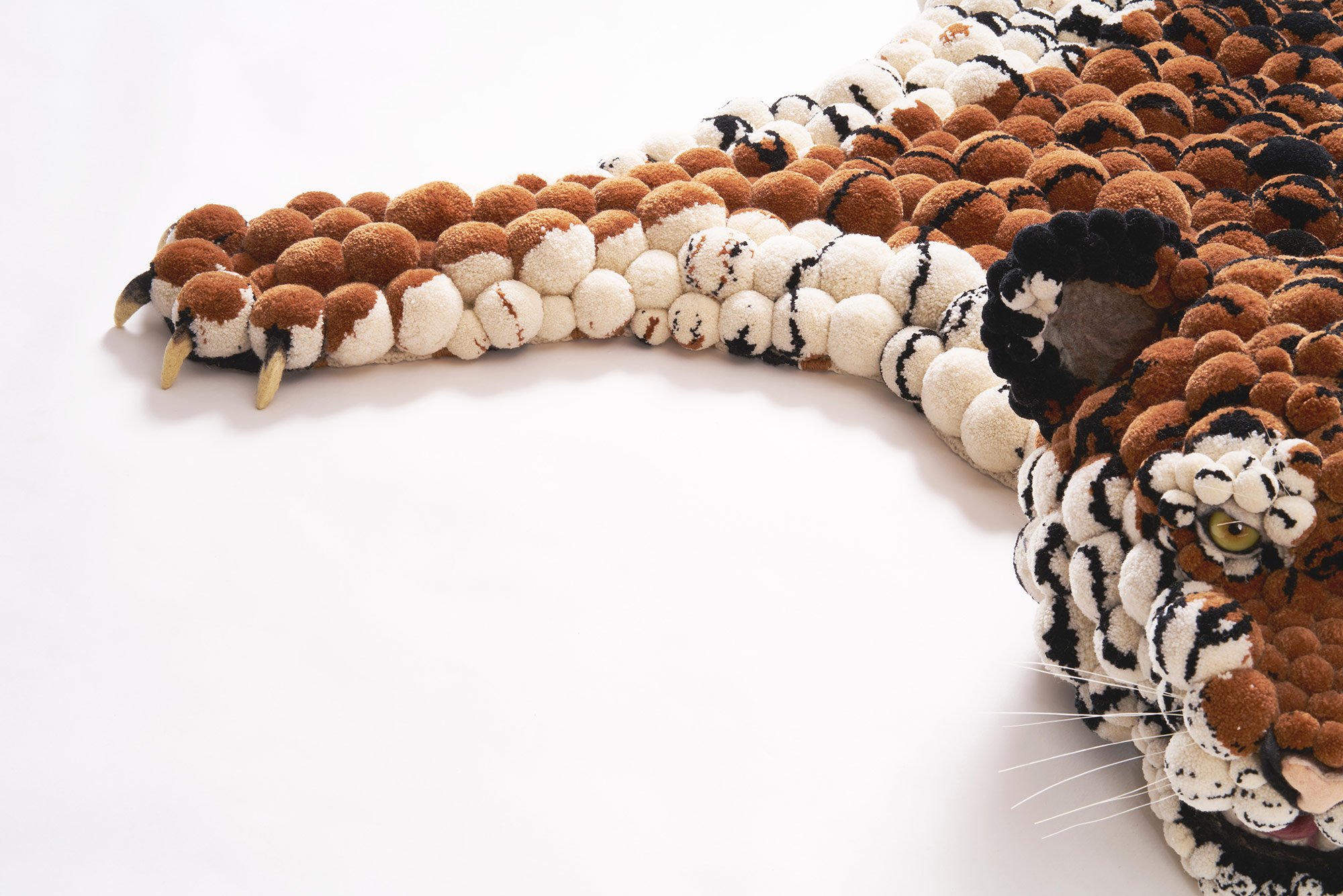 Pompon Tiger- detail CU