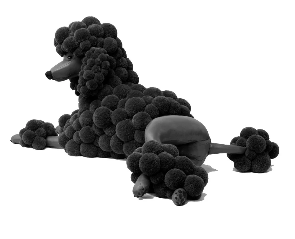 Pompon Poodle black 