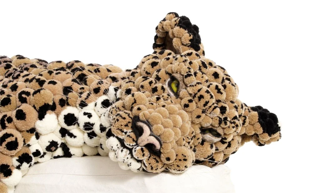 Closeup Sleeping Leopard 