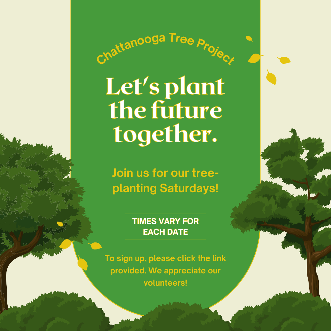 CTP Tree Planting - Ridgedale