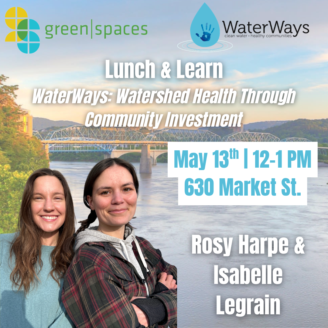 Lunch &amp; Learn with MyWaterWays