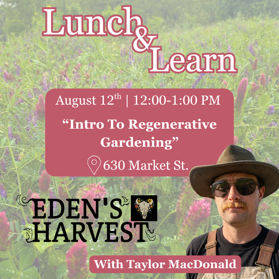 August Lunch &amp; Learn