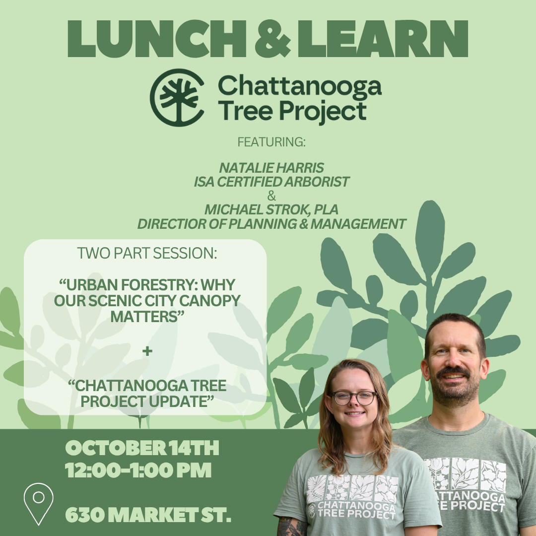 Lunch &amp; Learn with the Chattanooga Tree Project