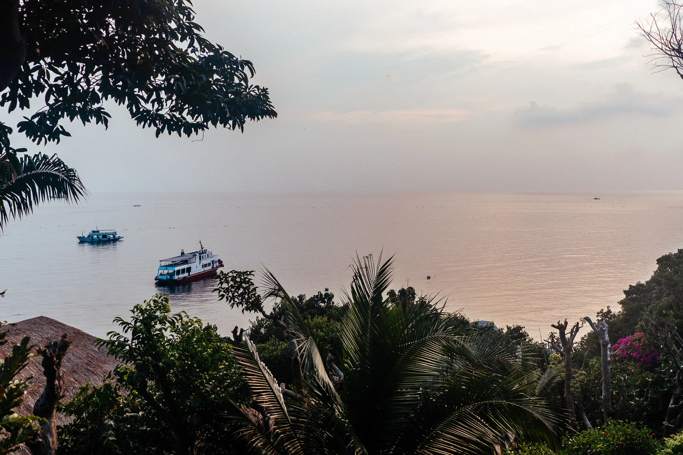Koh Tao 03.jpg