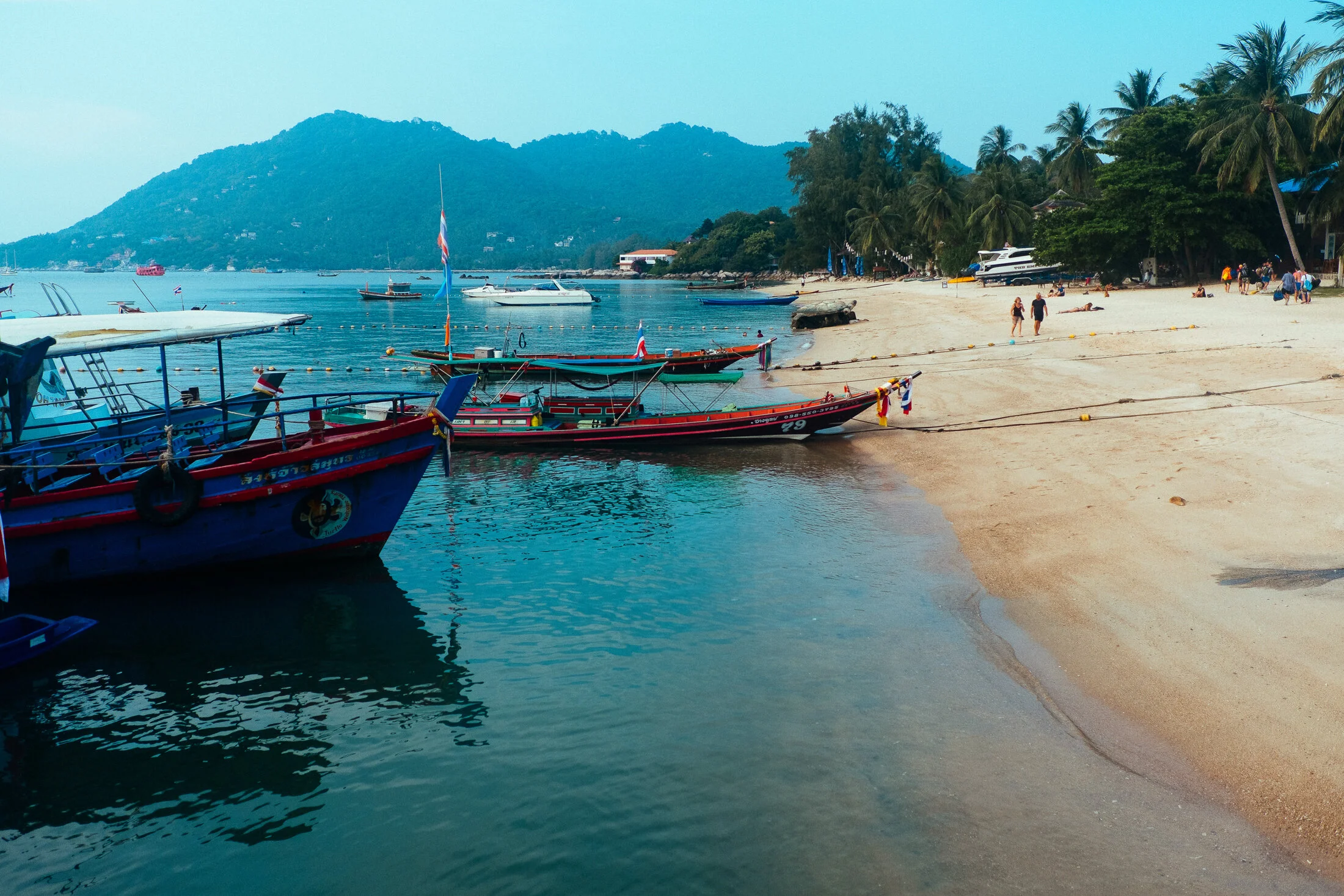 Koh Tao 05.jpg
