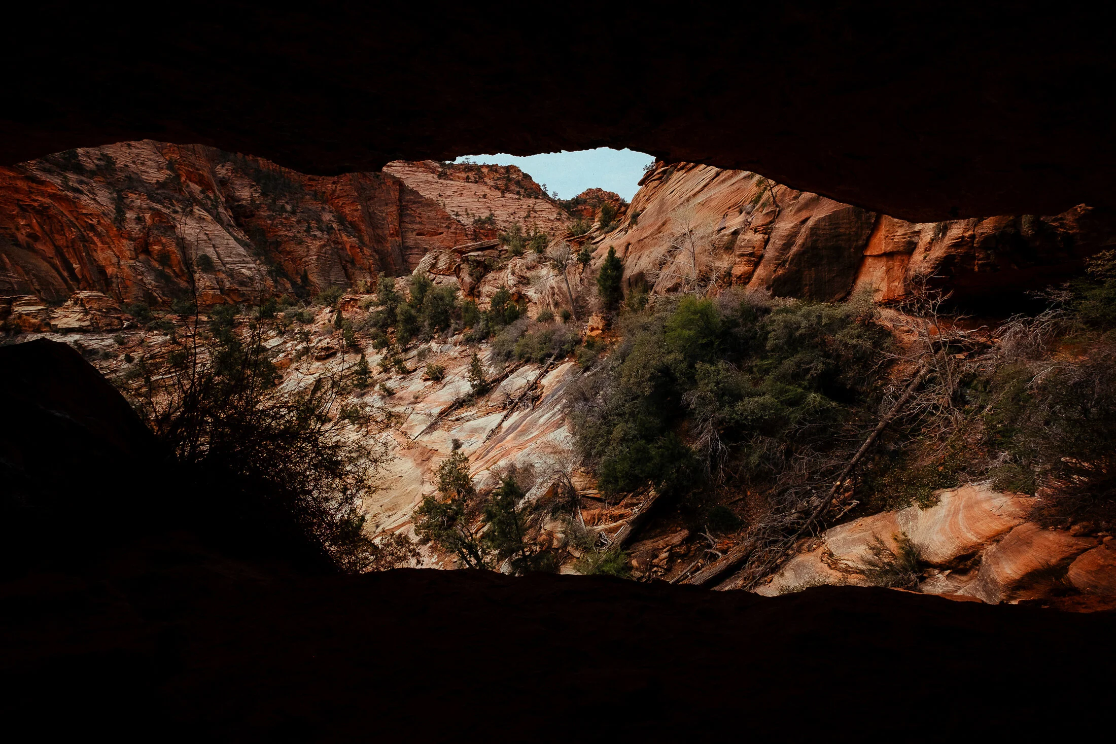 Zion National Park 04.jpg