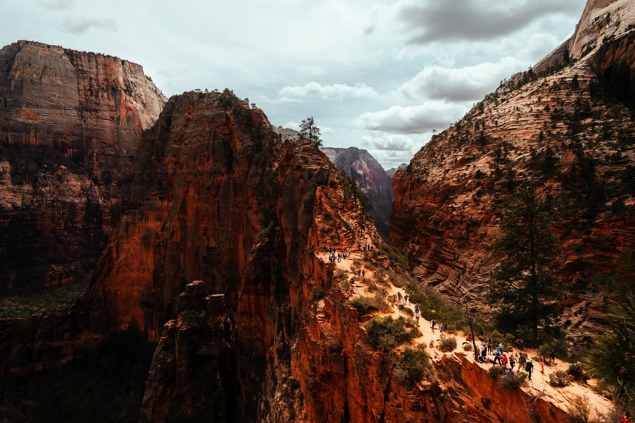 Zion National Park 09.jpg