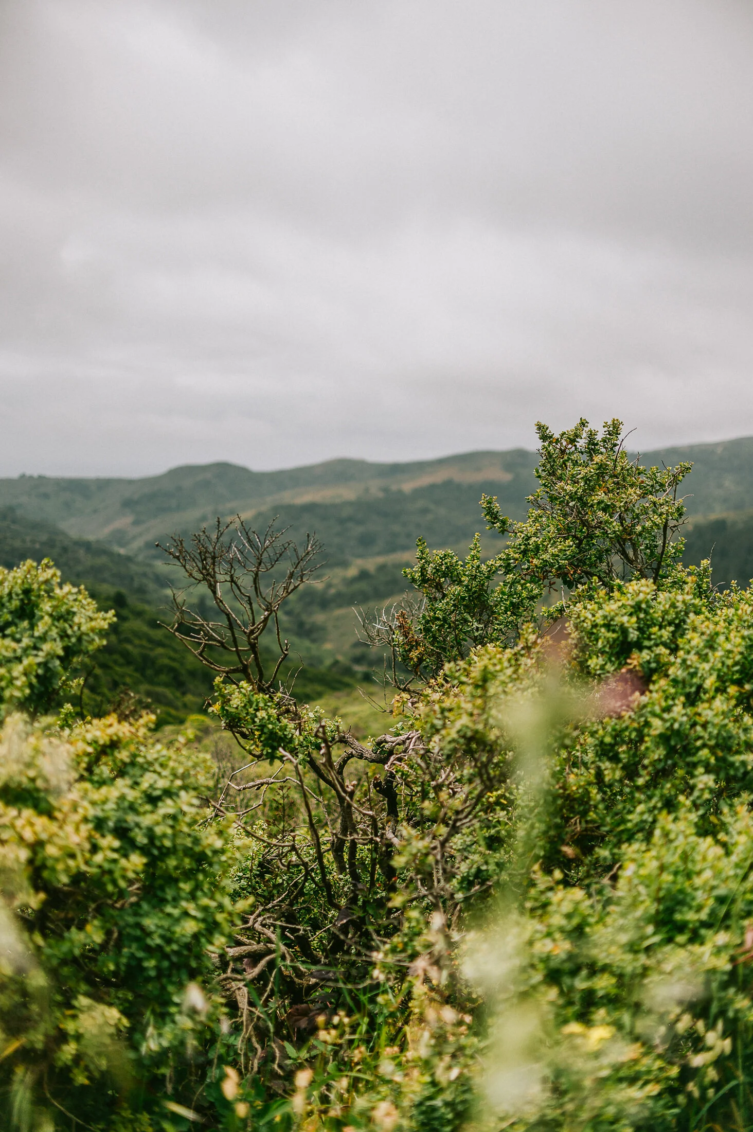 Montara Mountain 01.jpg