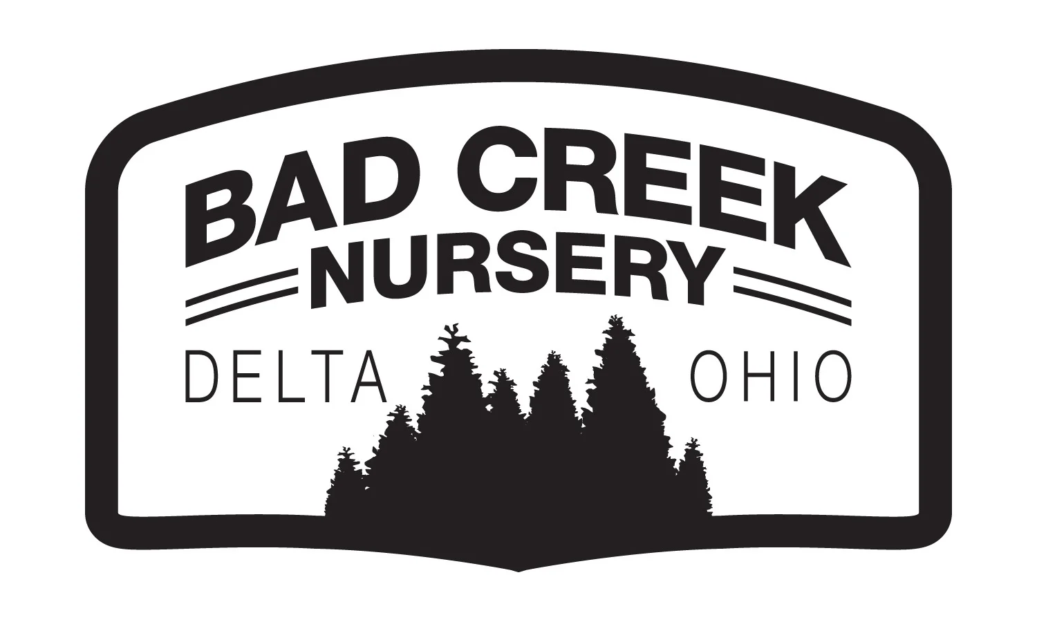 BadCreekLogo.jpg