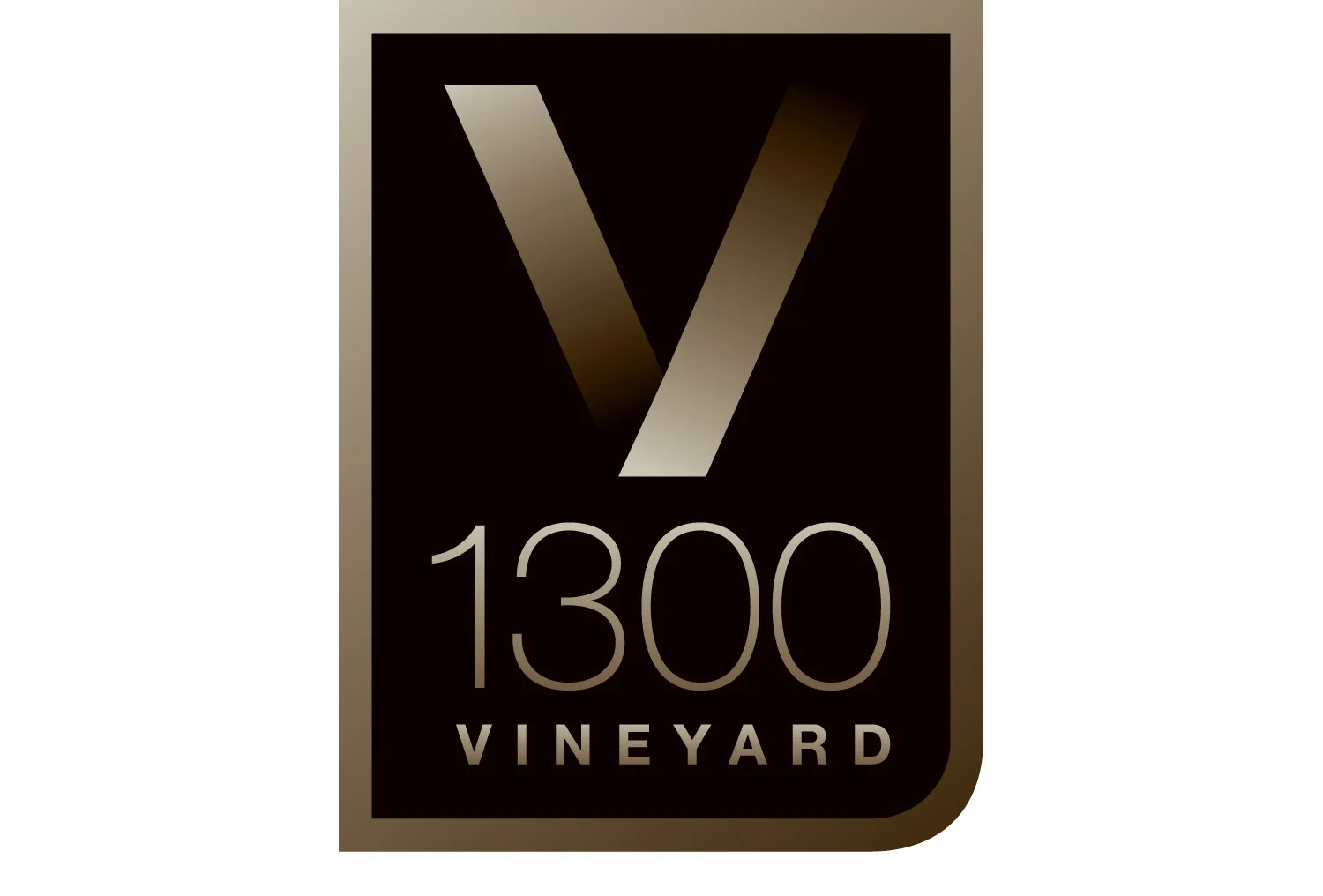 V1300.jpg